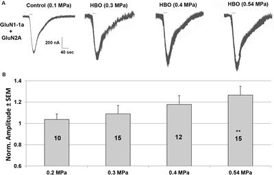 The Mechanism of NMDA Receptor Hyperexcitation in High Pressure Helium and Hyperbaric Oxygen